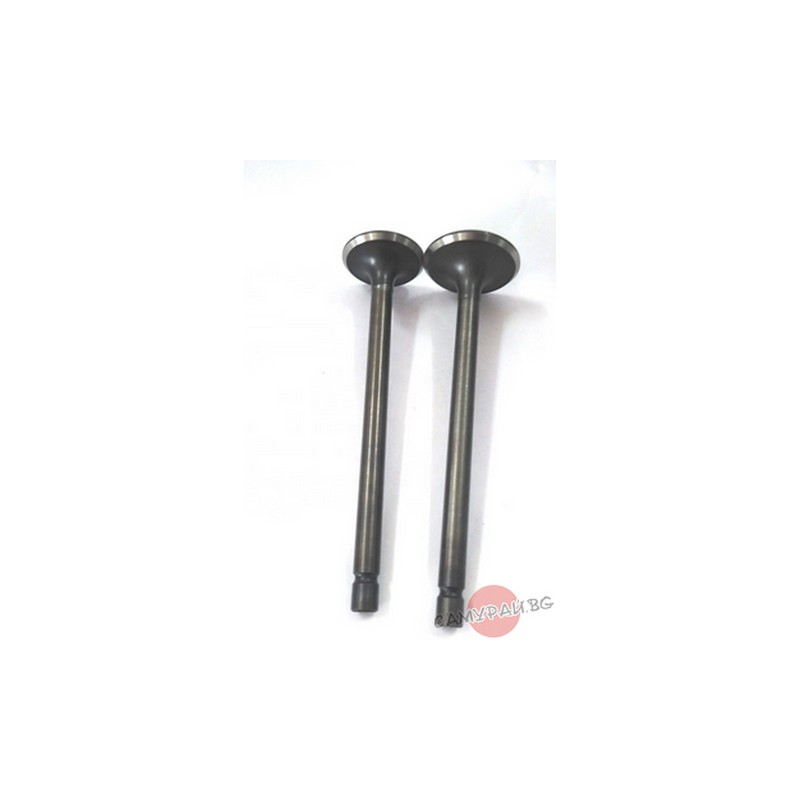 Клапан изпускателен ROCKY SB80 12915-60A00 1291560A00 Suzuki Vitara