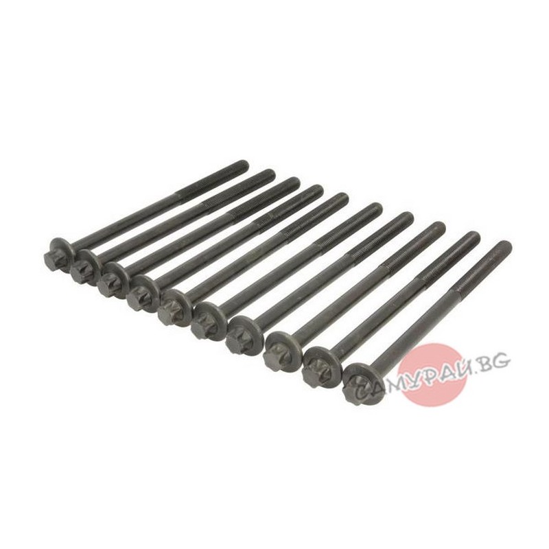 Комплект болтове глава VICTOR REINZ 141039801 90069-31065 9006931065 TOYOTA AURIS