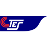 TES